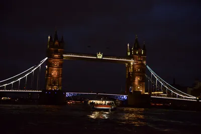 DSC_5691 (Large).JPG